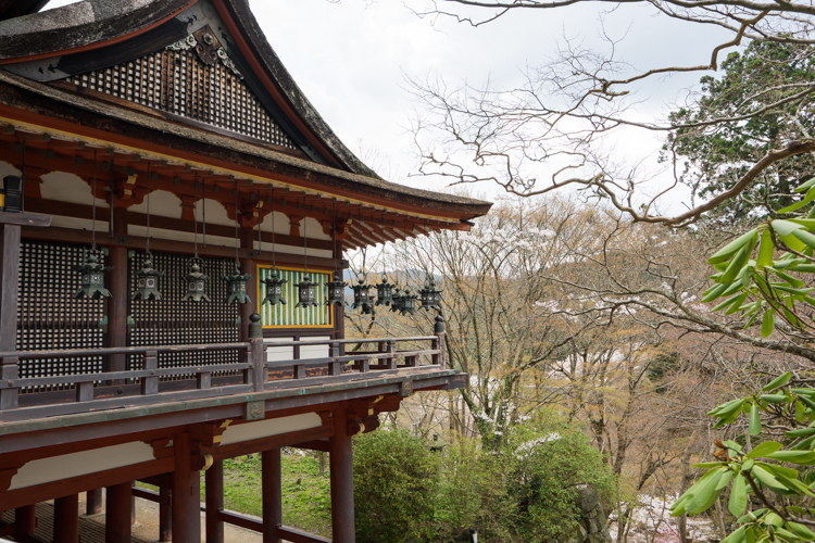 談山神社の桜_a0304752_19353766.jpg