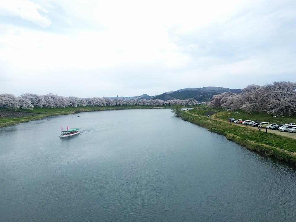 d0039059_08361257.jpg
