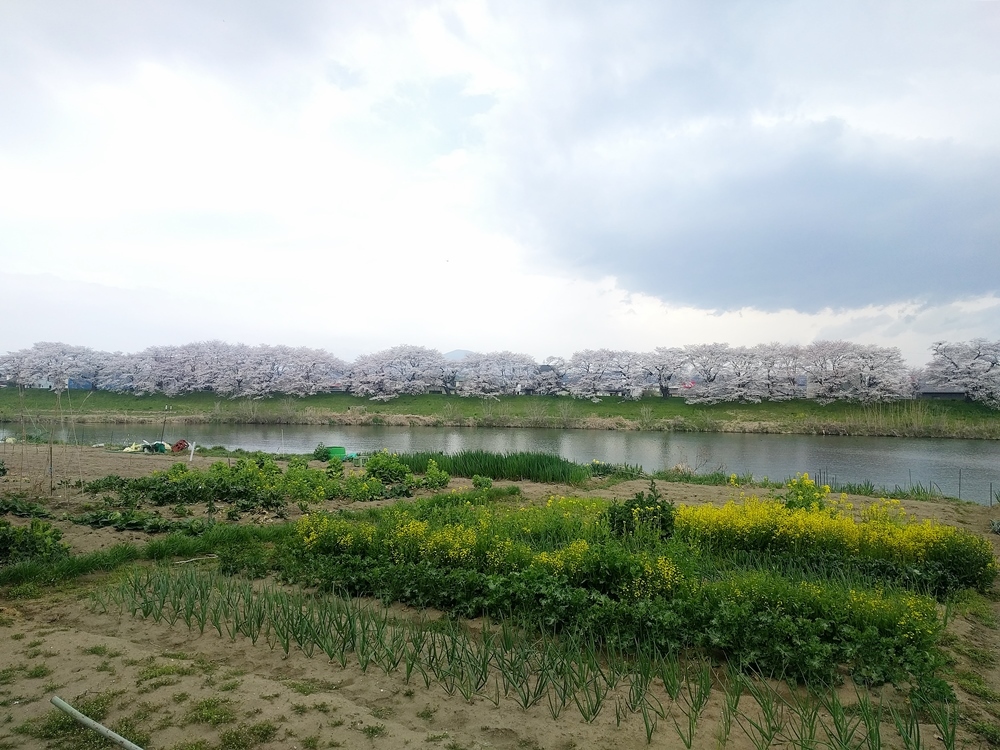 d0039059_08385091.jpg