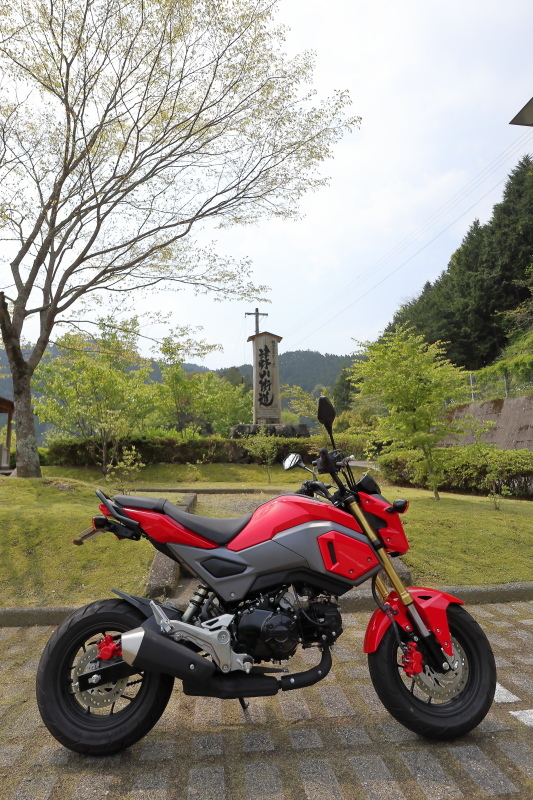 梼原町：こいのぼり5000匹揺れる_a0077663_14580769.jpg