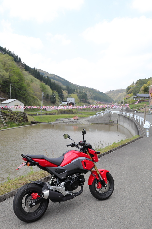 梼原町：こいのぼり5000匹揺れる_a0077663_14581628.jpg