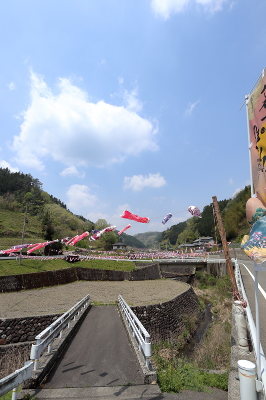 梼原町：こいのぼり5000匹揺れる_a0077663_14583865.jpg