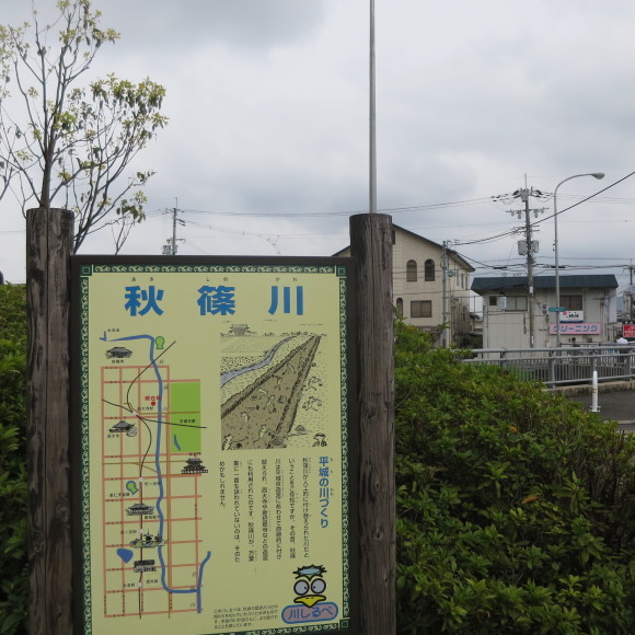 c0001670_17045205.jpg