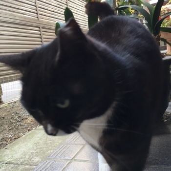 母がいて母がいない寂しさ(-_-;)…_f0325471_07394349.jpg