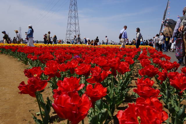 吉高の大桜を今年も見る_a0113874_17305278.jpg