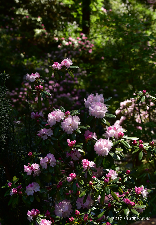 a0142976_17314473.jpg
