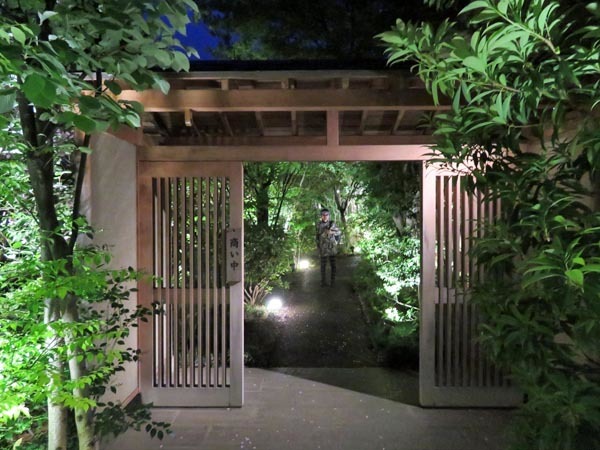 26日梅の花と27日西国分寺散歩 いい旅 夢kiwi スカイキウィの夢日記 26日梅の花と27日西国分寺散歩 いい旅 夢kiwi スカイキウィの夢日記