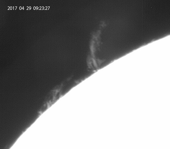 4月29日の太陽_大プロミネンス出現!_e0174091_14113048.jpg