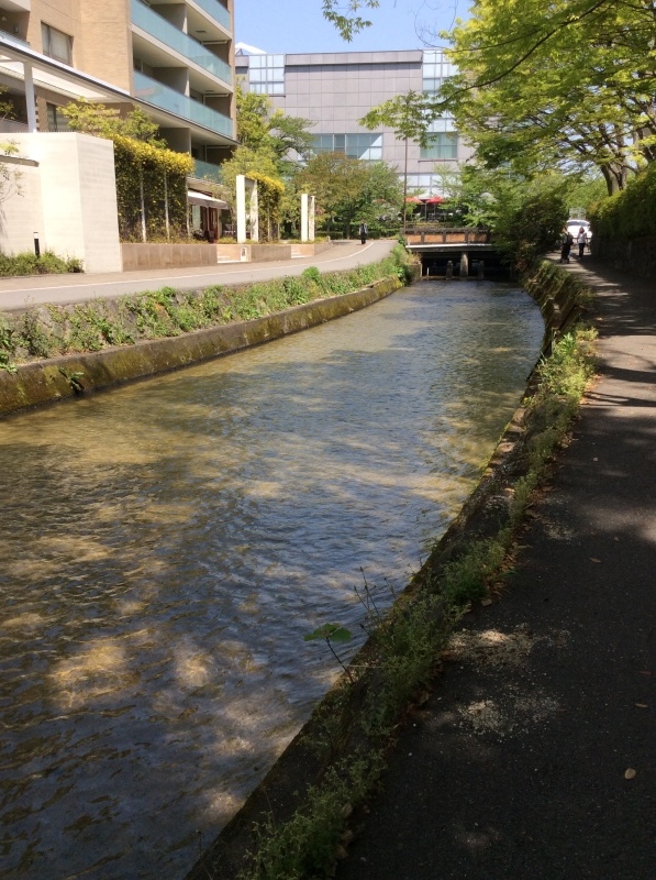 b0220002_20113009.jpg