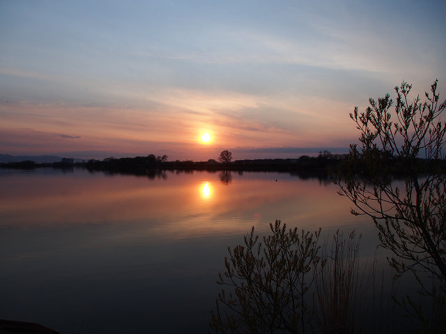 e0366902_17393670.jpg