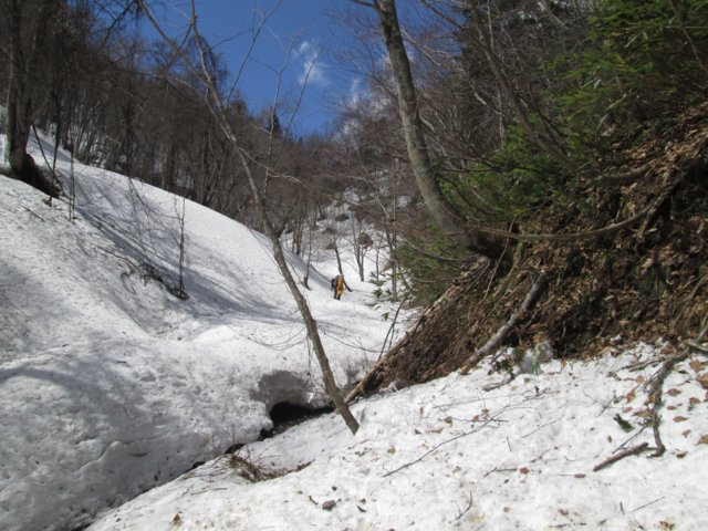 2017年4月29日（土）　春香山 (山菜採り)_a0345007_1225261.jpg