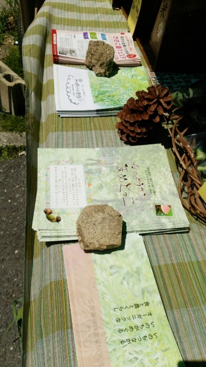 c0016208_23483412.jpg