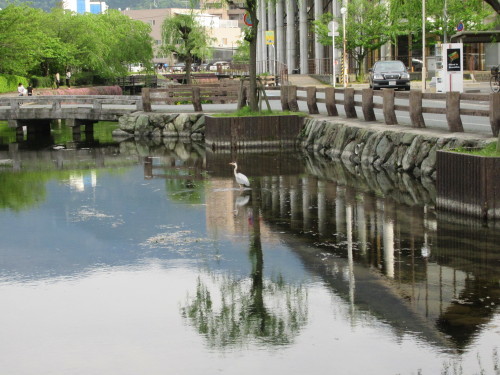 西条市・アクアトピア水系の景観と禎祥寺の藤棚…2017/4/27_f0231709_14164579.jpg