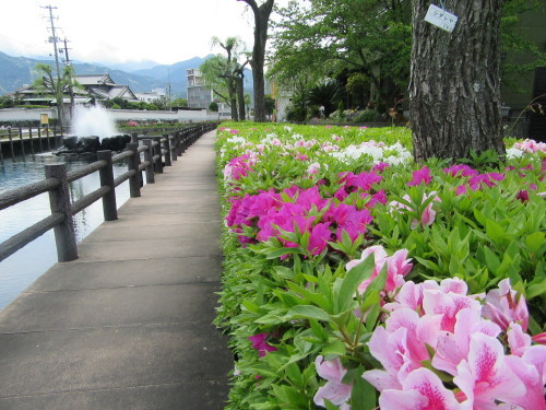 西条市・アクアトピア水系の景観と禎祥寺の藤棚…2017/4/27_f0231709_14443822.jpg