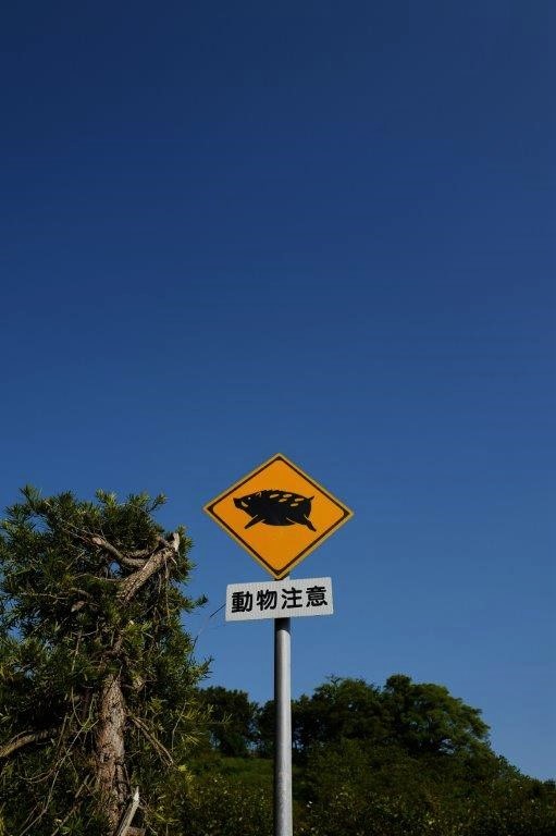 f0365212_21200111.jpg