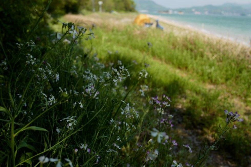 f0365212_21224416.jpg