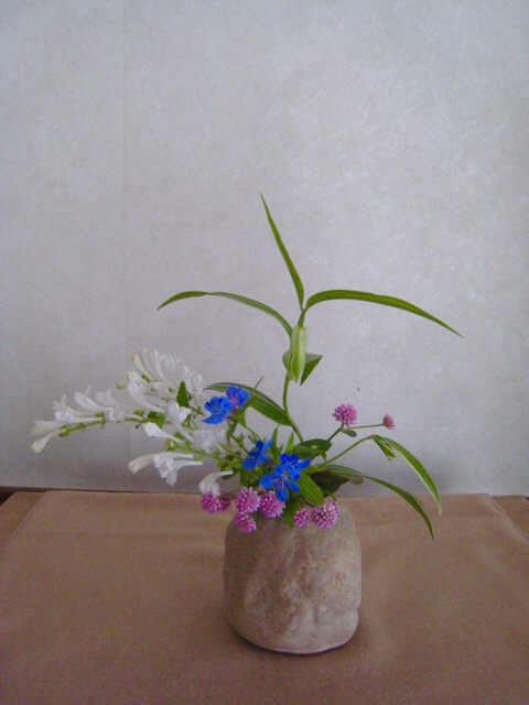 小さなお花です_a0140014_1465321.jpg