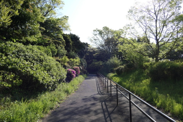 本牧山頂公園（横浜市中区）前編_f0369014_15045822.jpg