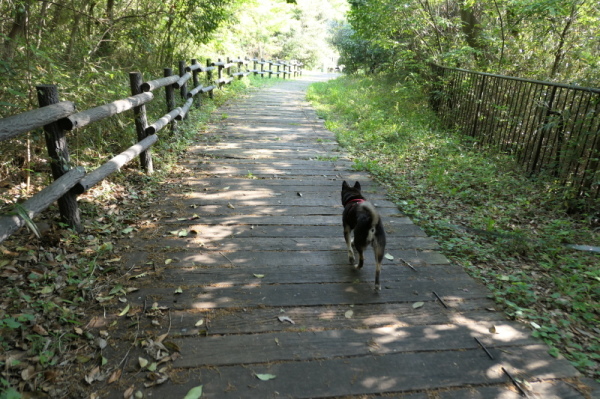 本牧山頂公園（横浜市中区）前編_f0369014_15061931.jpg