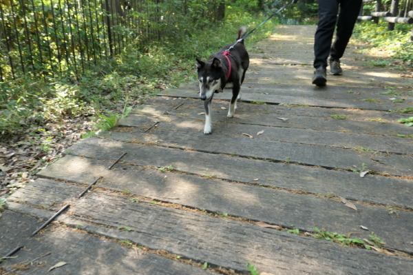 本牧山頂公園（横浜市中区）前編_f0369014_15064608.jpg