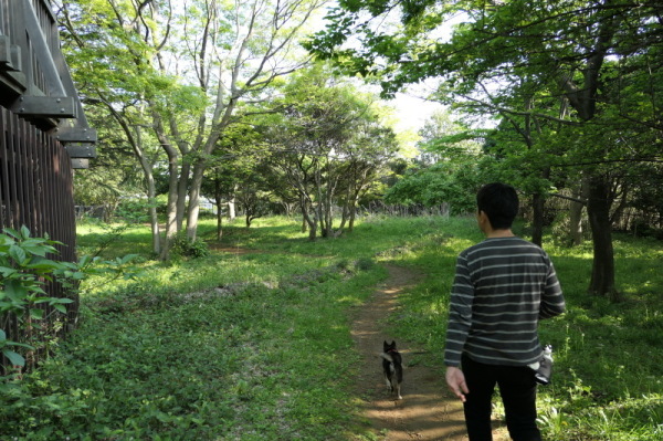 f0369014_15071019.jpg