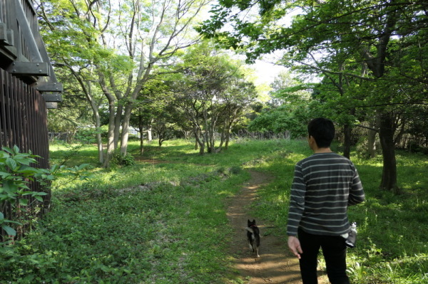 本牧山頂公園（横浜市中区）前編_f0369014_15071019.jpg