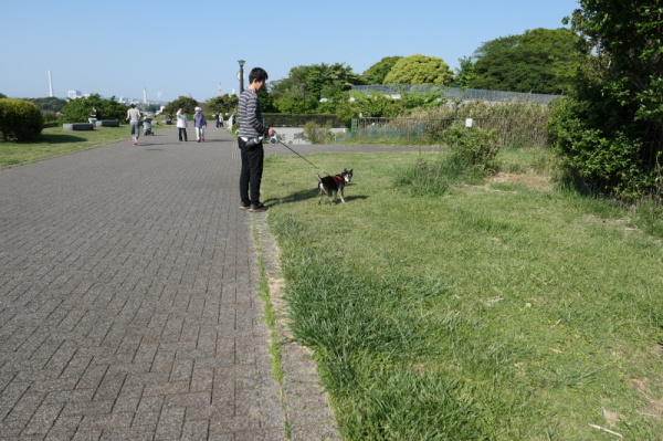 本牧山頂公園（横浜市中区）前編_f0369014_15082559.jpg