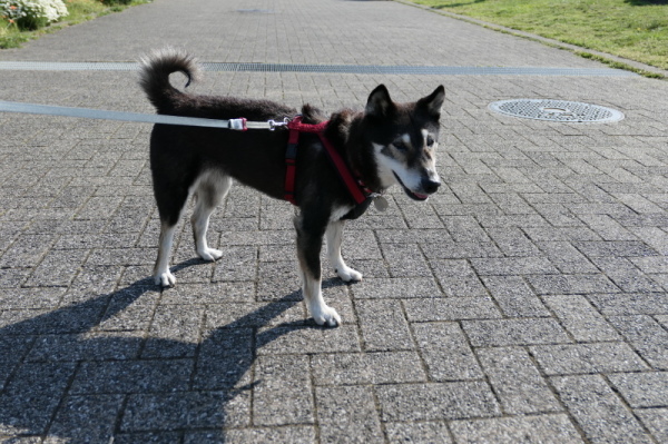 本牧山頂公園（横浜市中区）前編_f0369014_15094437.jpg