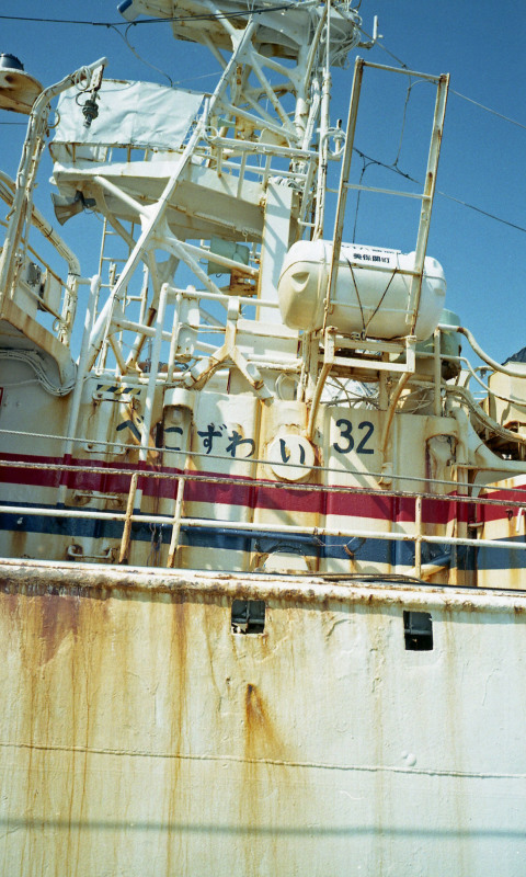 d0339617_11101243.jpg