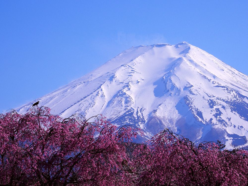 b0204819_11441277.jpg