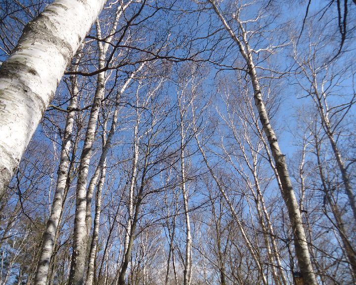 b0248920_08223825.jpg