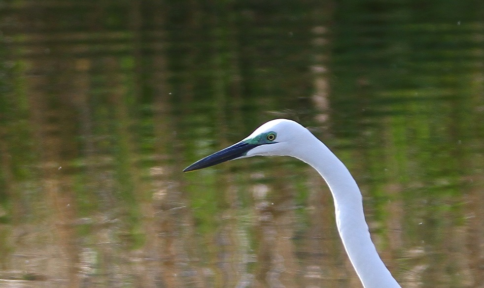 f0364220_12525700.jpg