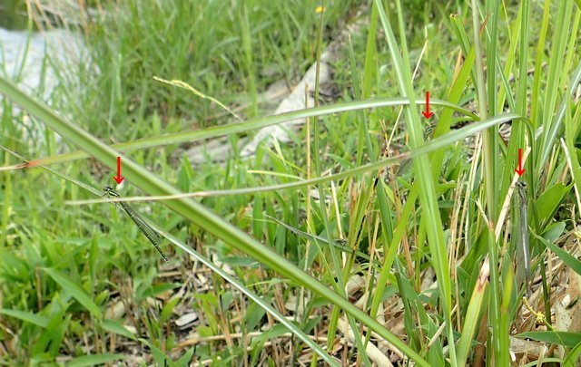 c0369423_22054490.jpg