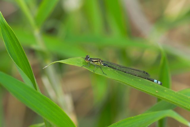 c0369423_22055387.jpg