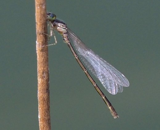 c0369423_22073339.jpg