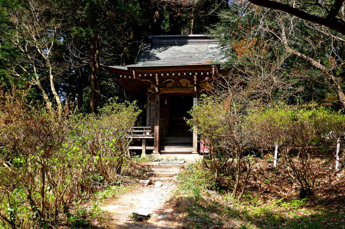 岩手県平泉　「中尊寺の春」_d0106628_07124719.jpg