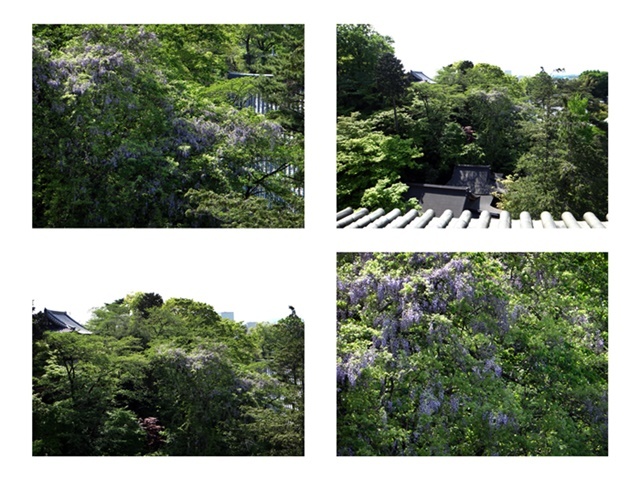 d0037233_10562965.jpg