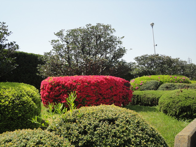 d0359338_1655925.jpg