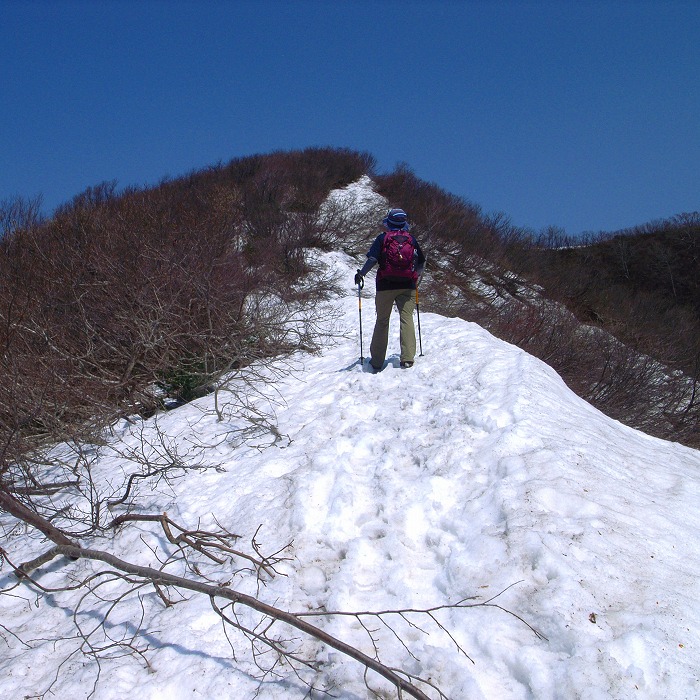 山LOG 2017　その5／米山～下牧コース_e0031346_2255127.jpg