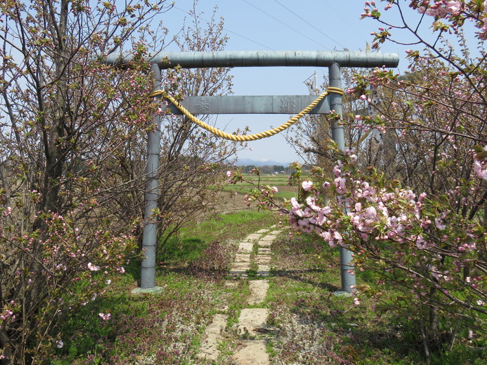 b0238249_212420.jpg