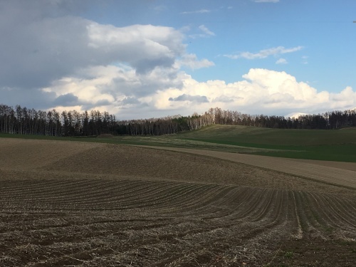 e0326953_14420697.jpg