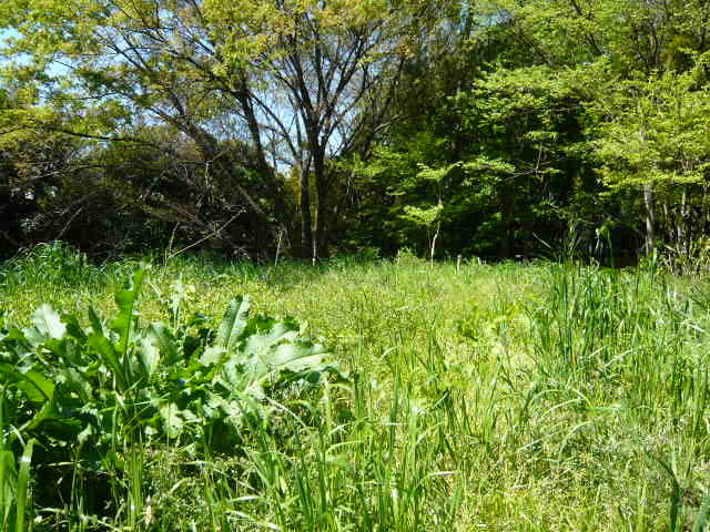 a0099154_14590076.jpg