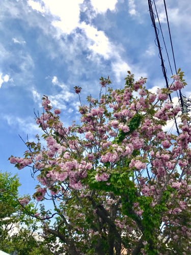 c0324461_13013272.jpg