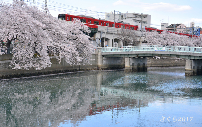 優しい美人・横浜_d0251161_09471657.jpg