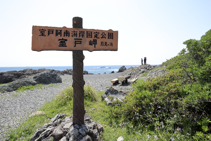 グロムで、室戸岬へ その1_a0077663_16070701.jpg