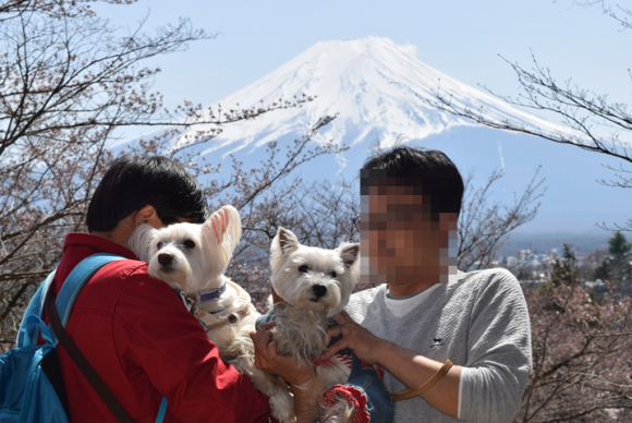 b0242873_00373481.png