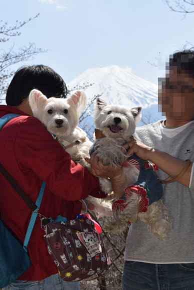b0242873_00375627.png