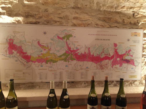paris7日目ブルゴーニュワイン_e0326573_14483841.jpg