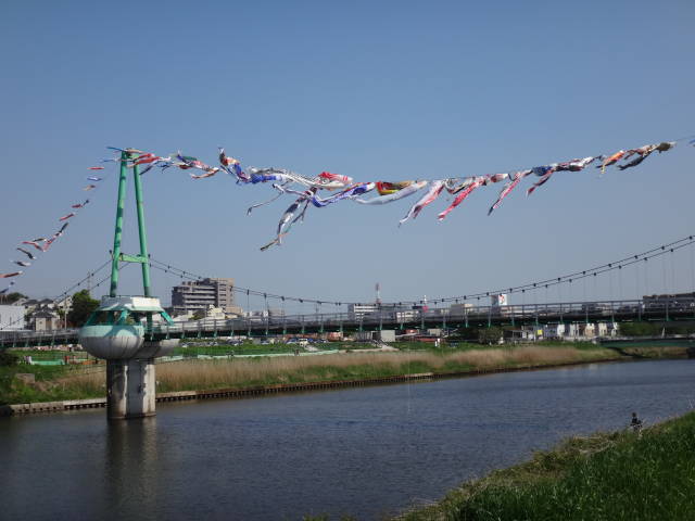 初夏の陽を浴びて歩く_a0113874_17183048.jpg