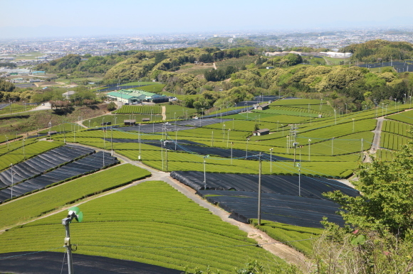 b0224178_21570661.jpg